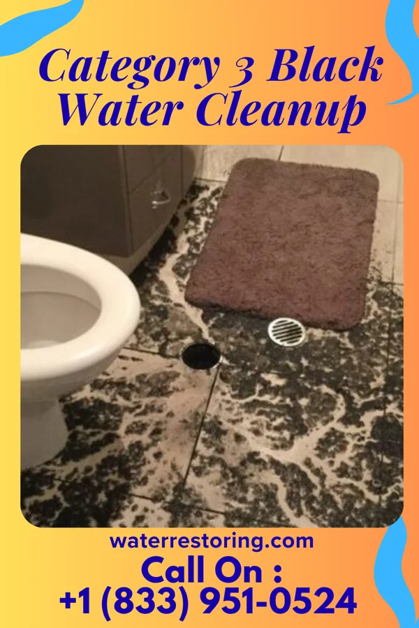 Category 3 Black Water Cleanup in Melfa, VA