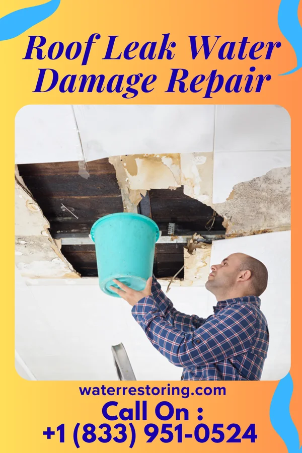 Roof Leak Water Damage Repair in Melfa, VA