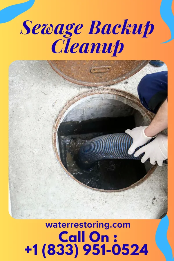Sewage Backup Cleanup in Melfa, VA