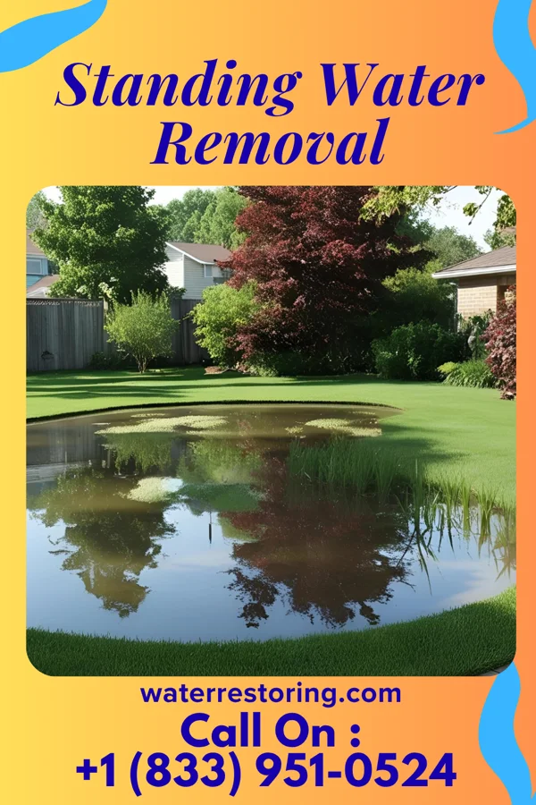 Standing Water Removal in Melfa, VA